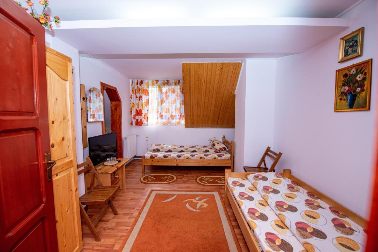 Pensiunea Flori De Camp Ватра-Дорней Экстерьер фото