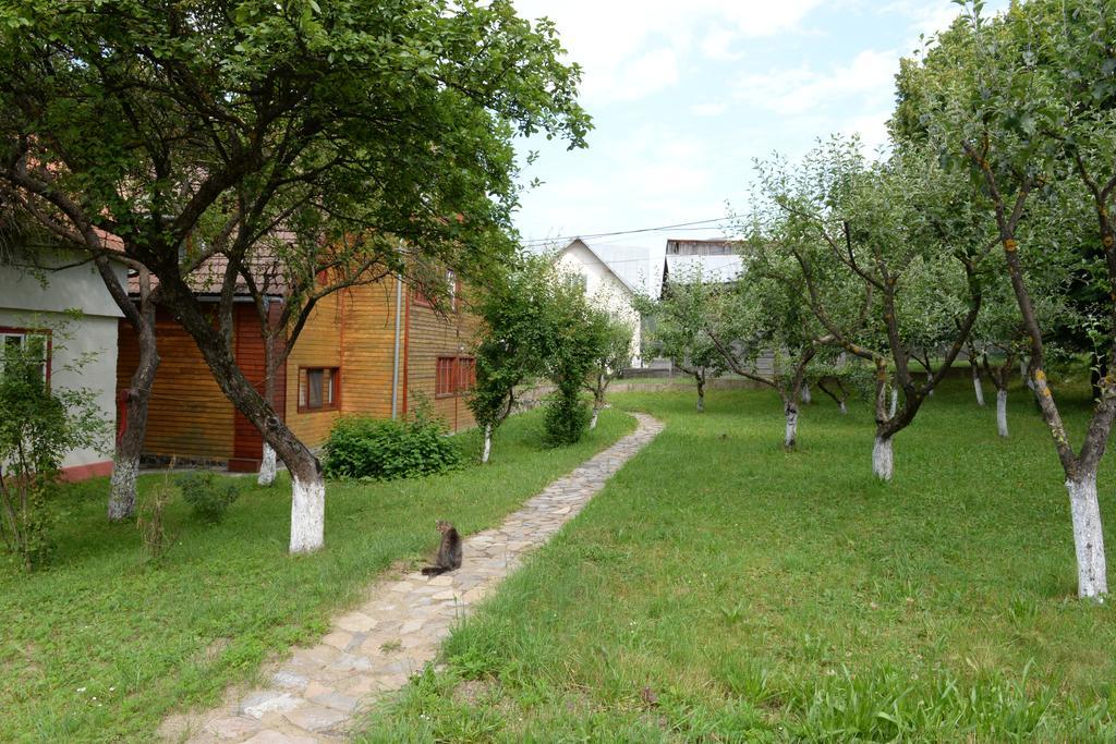 Pensiunea Flori De Camp Ватра-Дорней Экстерьер фото