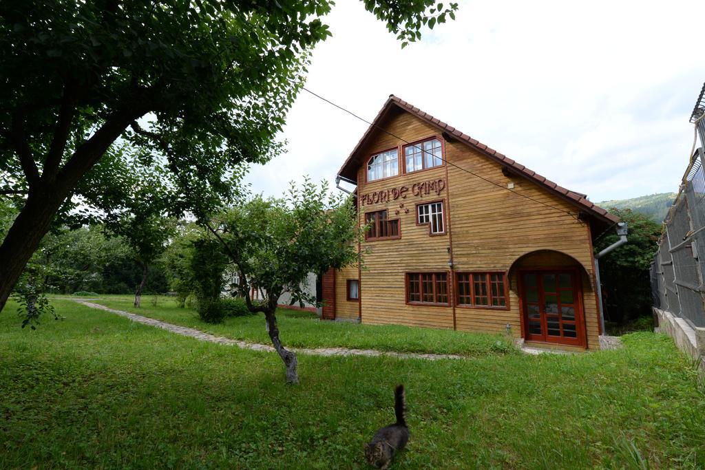Pensiunea Flori De Camp Ватра-Дорней Экстерьер фото