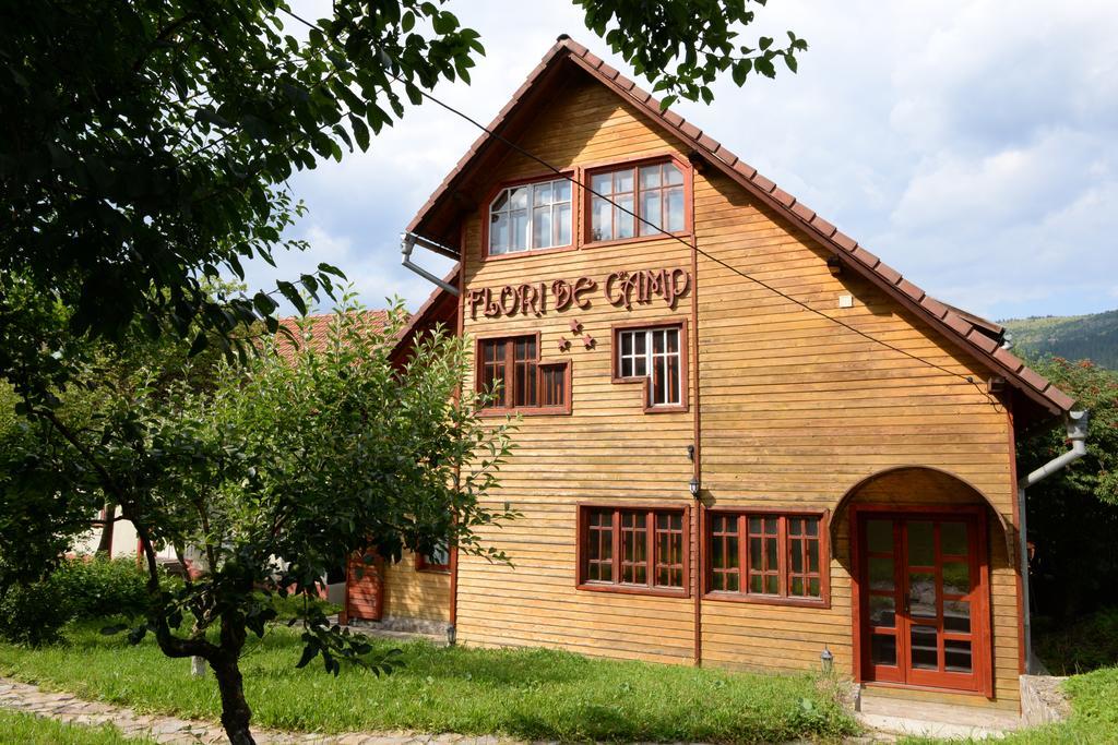 Pensiunea Flori De Camp Ватра-Дорней Экстерьер фото