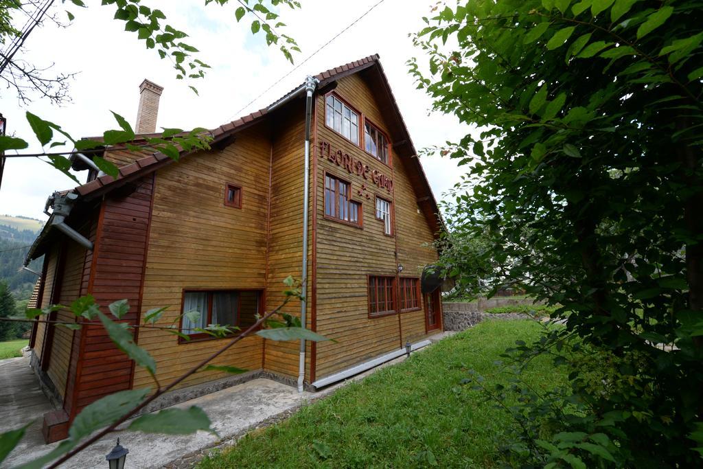 Pensiunea Flori De Camp Ватра-Дорней Экстерьер фото