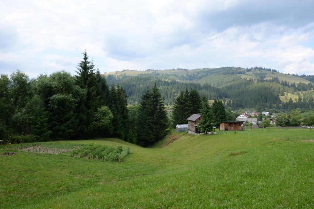 Pensiunea Flori De Camp Ватра-Дорней Экстерьер фото