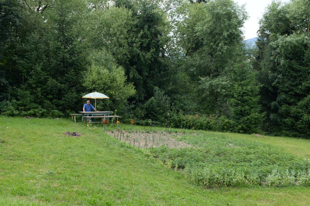 Pensiunea Flori De Camp Ватра-Дорней Экстерьер фото