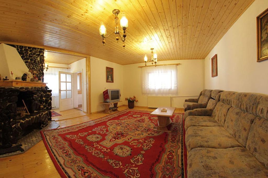 Pensiunea Flori De Camp Ватра-Дорней Экстерьер фото