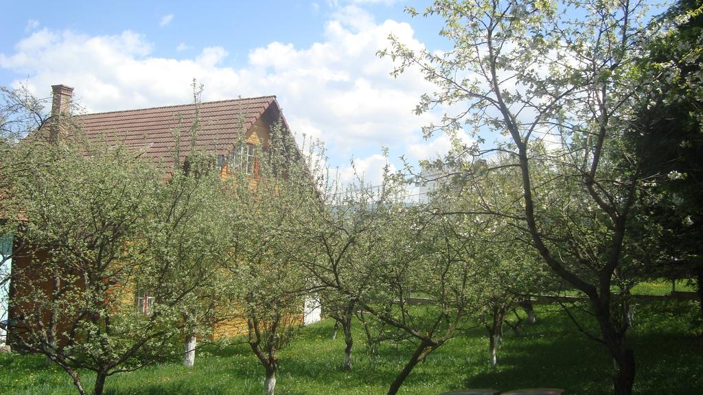 Pensiunea Flori De Camp Ватра-Дорней Экстерьер фото