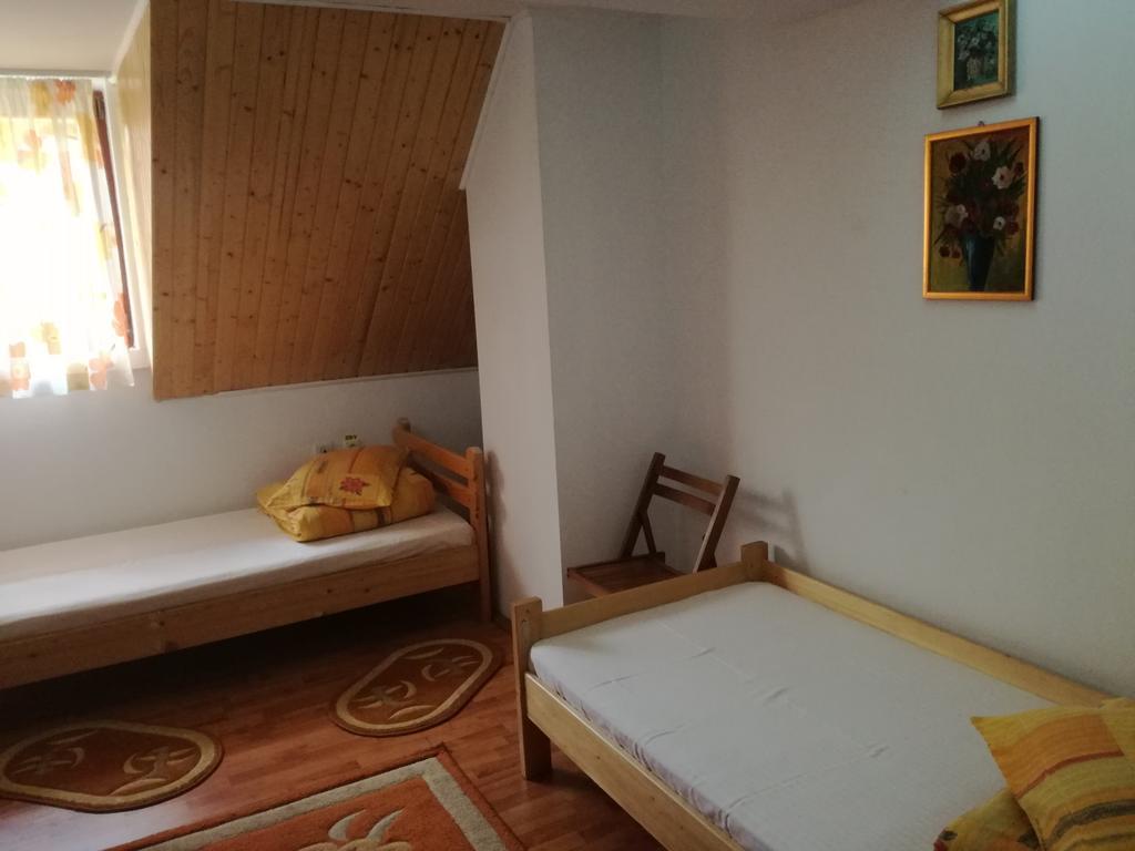 Pensiunea Flori De Camp Ватра-Дорней Экстерьер фото