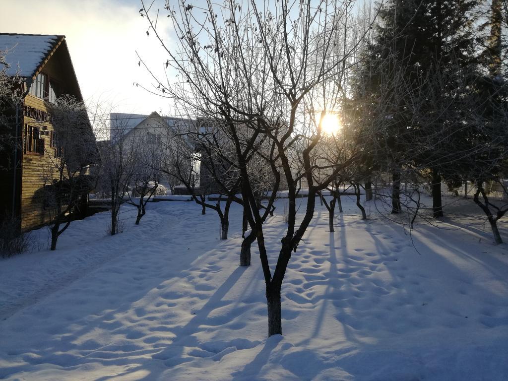 Pensiunea Flori De Camp Ватра-Дорней Экстерьер фото
