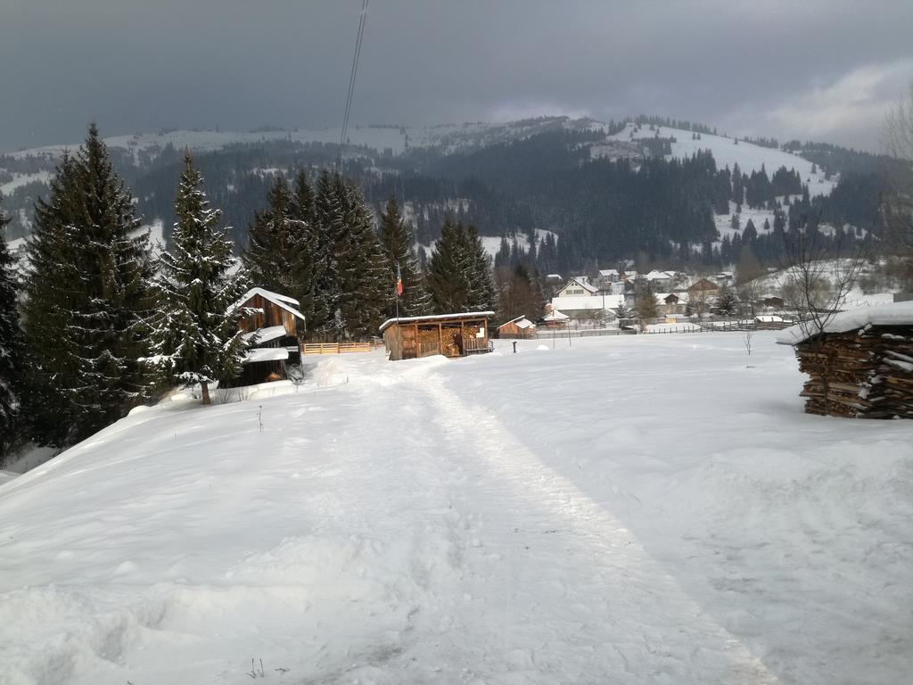 Pensiunea Flori De Camp Ватра-Дорней Экстерьер фото