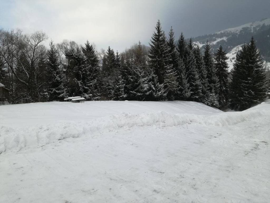 Pensiunea Flori De Camp Ватра-Дорней Экстерьер фото