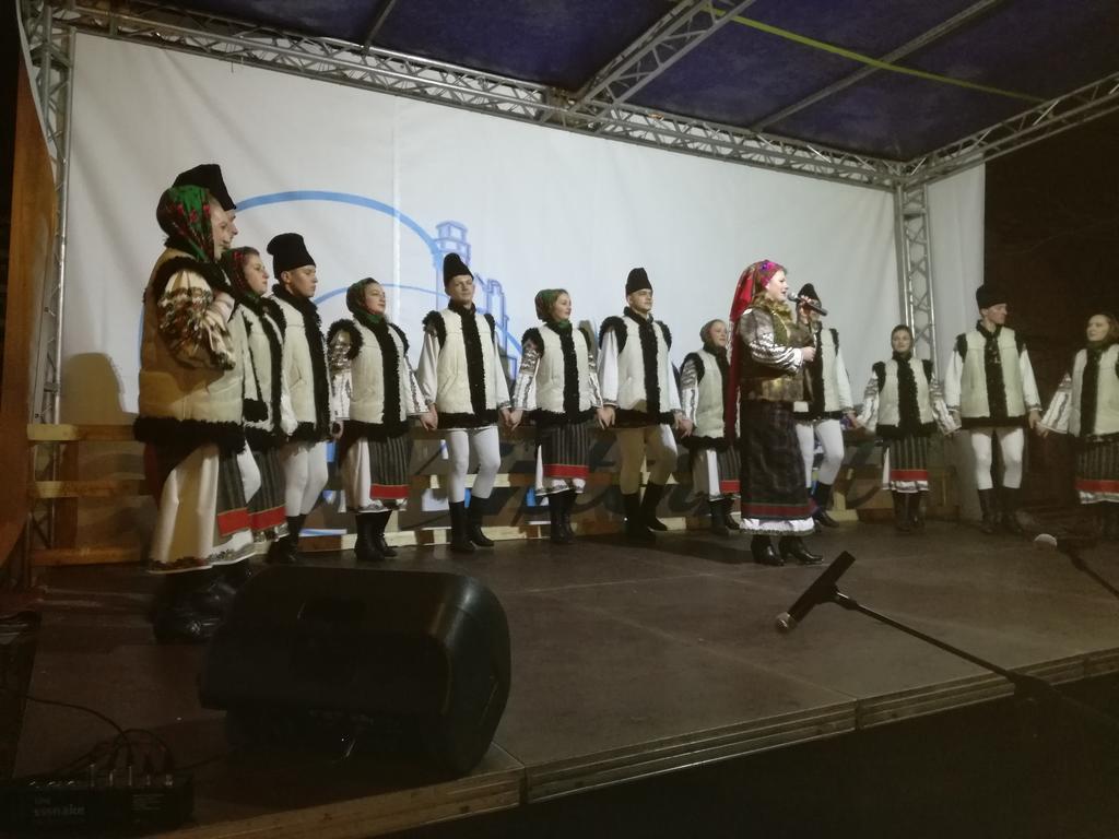 Pensiunea Flori De Camp Ватра-Дорней Экстерьер фото